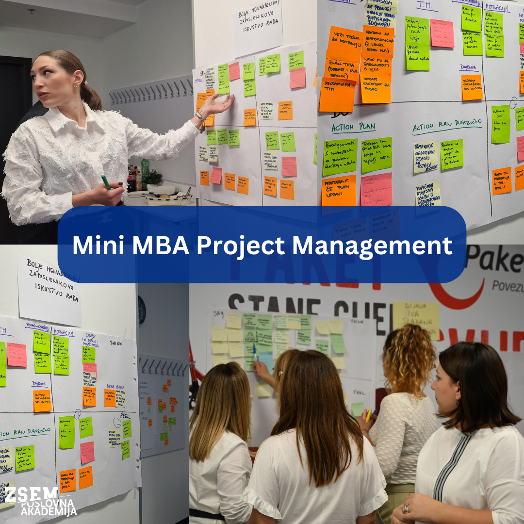 Mini MBA Project Management