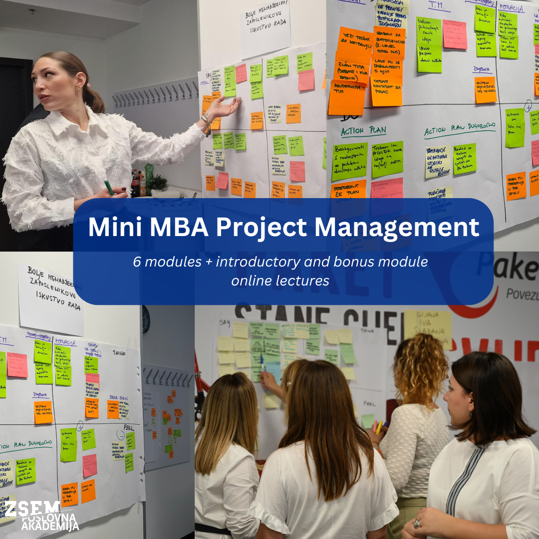 Mini MBA Project Management